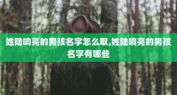 姓陆响亮的男孩名字怎么取,姓陆响亮的男孩名字有哪些