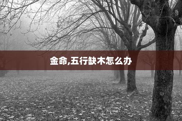金命,五行缺木怎么办