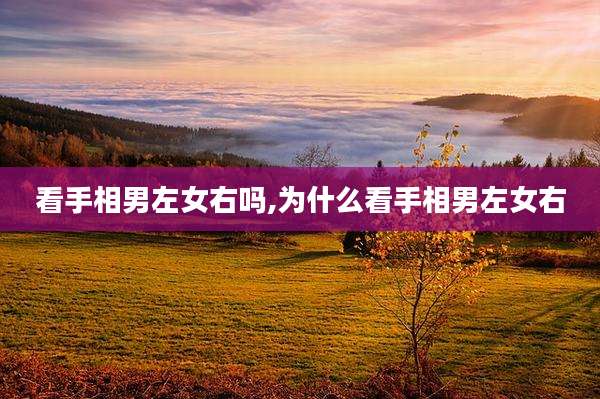 看手相男左女右吗,为什么看手相男左女右