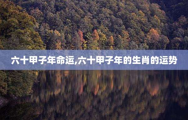 六十甲子年命运,六十甲子年的生肖的运势