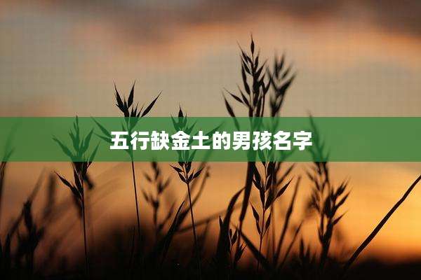 五行缺金土的男孩名字