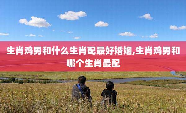 生肖鸡男和什么生肖配最好婚姻,生肖鸡男和哪个生肖最配