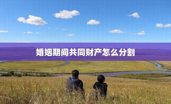婚姻期间共同财产怎么分割