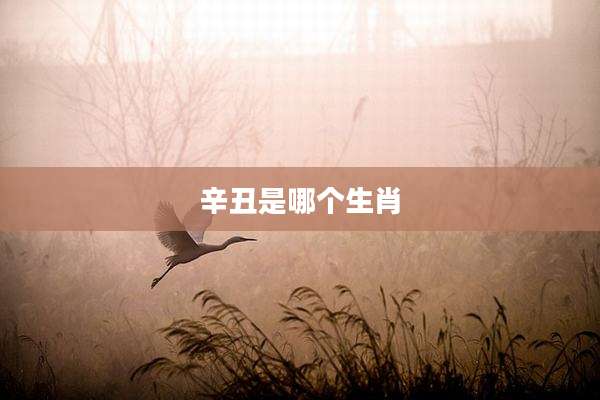 辛丑是哪个生肖