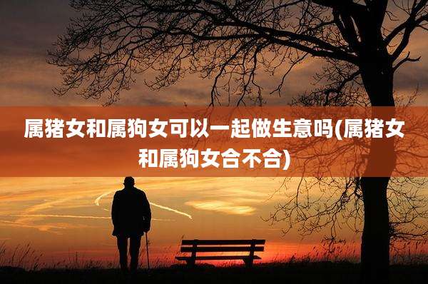 属猪女和属狗女可以一起做生意吗(属猪女和属狗女合不合)