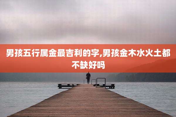 男孩五行属金最吉利的字,男孩金木水火土都不缺好吗