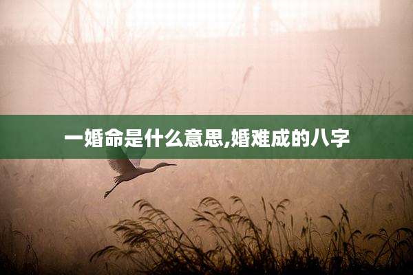 一婚命是什么意思,婚难成的八字