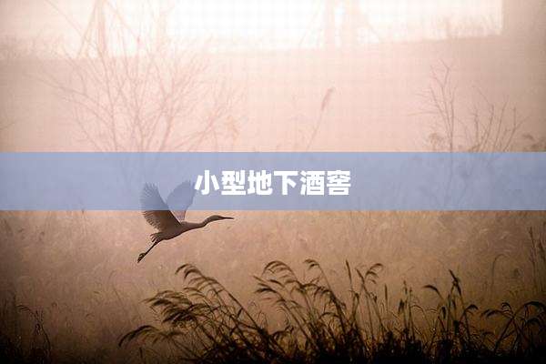 小型地下酒窖