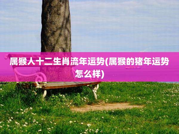 属猴人十二生肖流年运势(属猴的猪年运势怎么样)