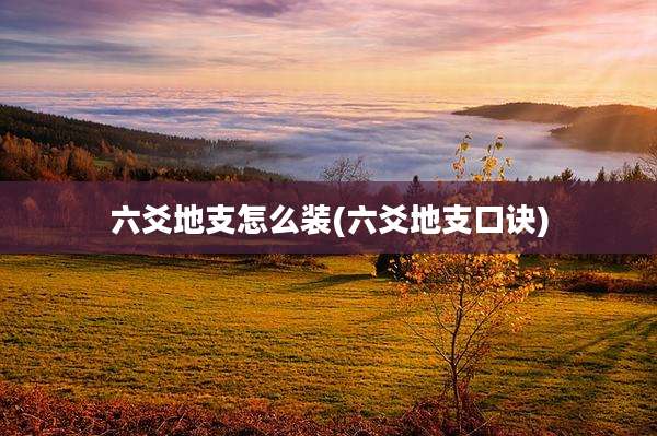六爻地支怎么装(六爻地支口诀)