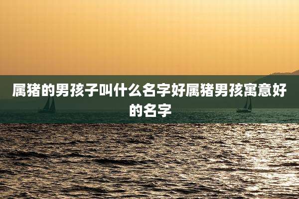 属猪的男孩子叫什么名字好属猪男孩寓意好的名字