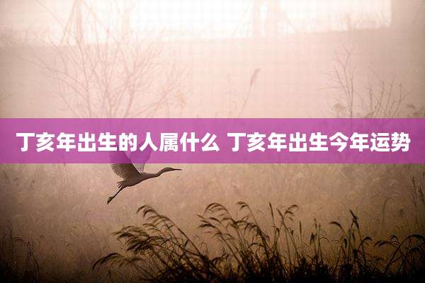 丁亥年出生的人属什么 丁亥年出生今年运势