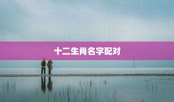 十二生肖名字配对
