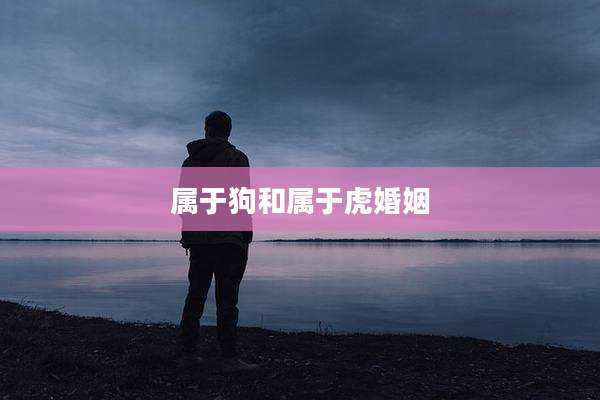 属于狗和属于虎婚姻