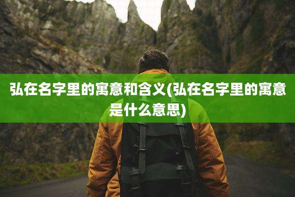 弘在名字里的寓意和含义(弘在名字里的寓意是什么意思)
