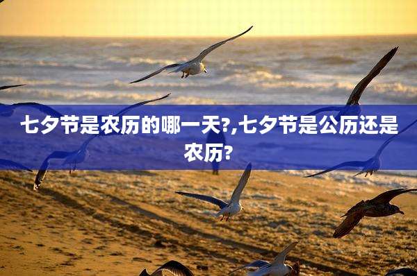 七夕节是农历的哪一天?,七夕节是公历还是农历?