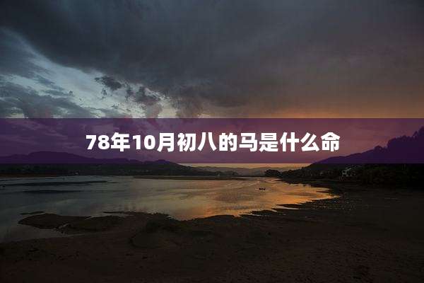 78年10月初八的马是什么命