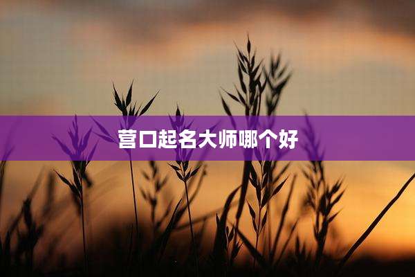 营口起名大师哪个好