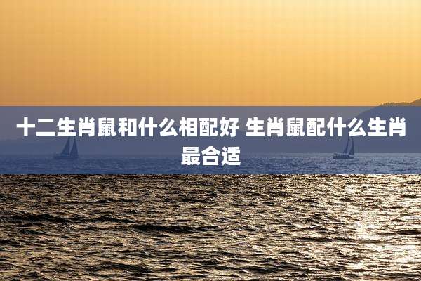 十二生肖鼠和什么相配好 生肖鼠配什么生肖最合适