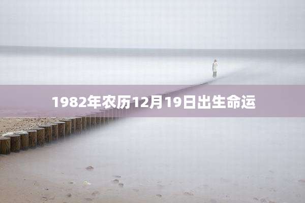 1982年农历12月19日出生命运