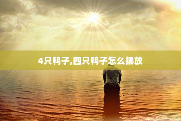 4只鸭子,四只鸭子怎么摆放