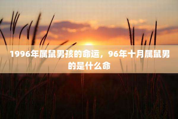 1996年属鼠男孩的命运，96年十月属鼠男的是什么命