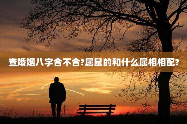 查婚姻八字合不合?属鼠的和什么属相相配?