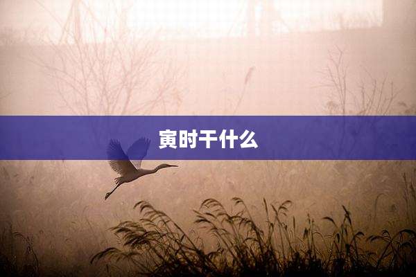 寅时干什么