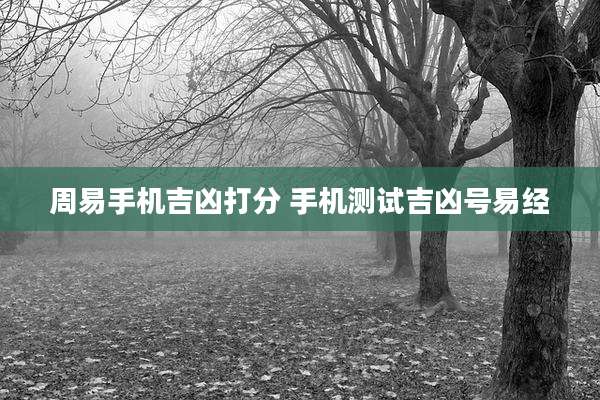 周易手机吉凶打分 手机测试吉凶号易经