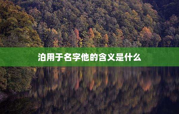 泊用于名字他的含义是什么