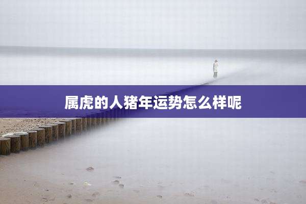 属虎的人猪年运势怎么样呢