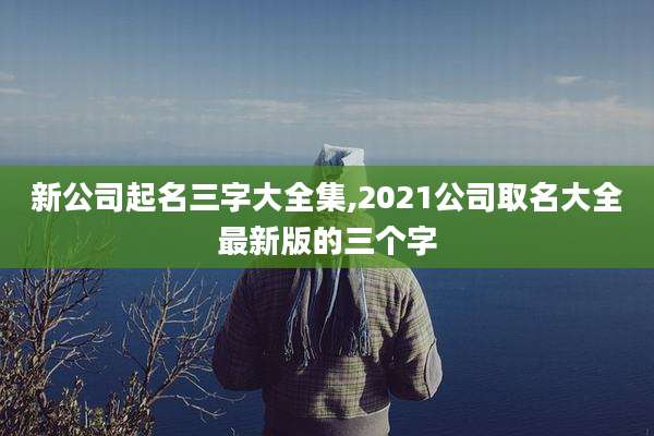 新公司起名三字大全集,2021公司取名大全最新版的三个字