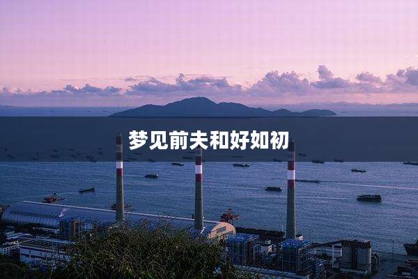 梦见前夫和好如初