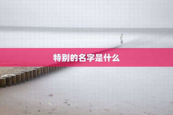 特别的名字是什么