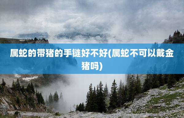 属蛇的带猪的手链好不好(属蛇不可以戴金猪吗)