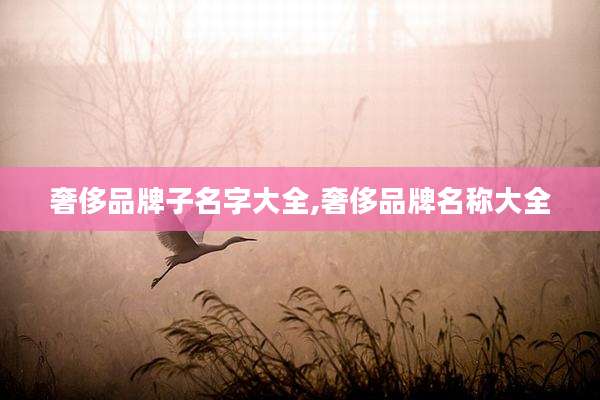 奢侈品牌子名字大全,奢侈品牌名称大全