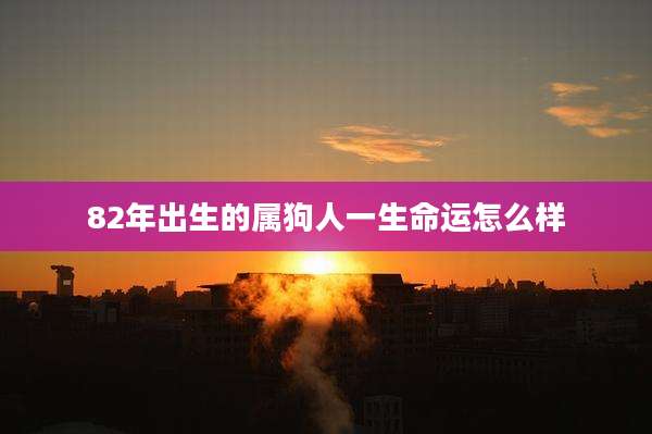 82年出生的属狗人一生命运怎么样