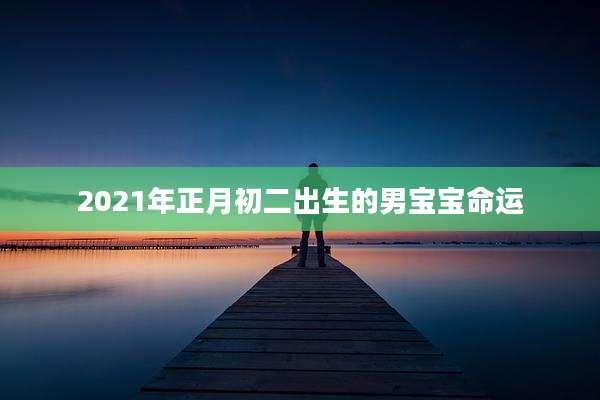 2021年正月初二出生的男宝宝命运