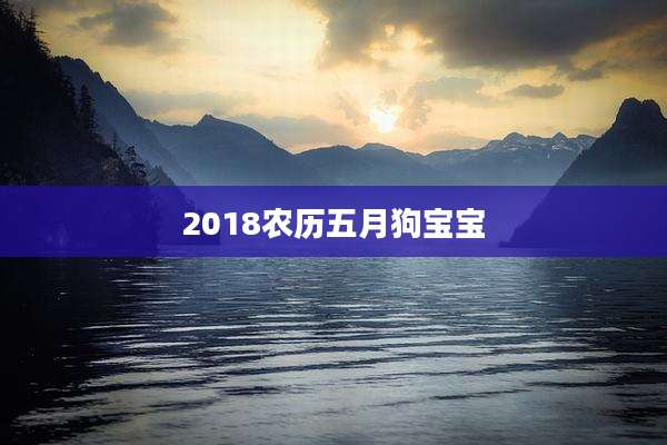 2018农历五月狗宝宝