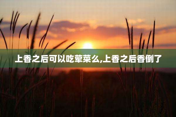 上香之后可以吃荤菜么,上香之后香倒了