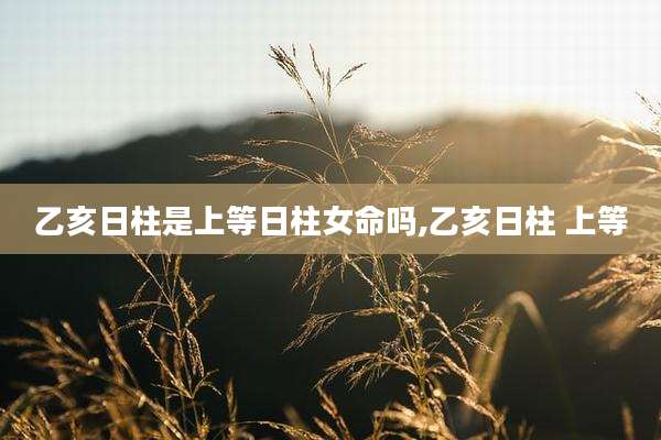 乙亥日柱是上等日柱女命吗,乙亥日柱 上等