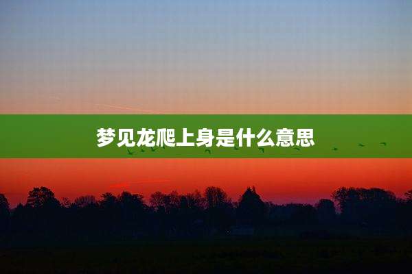 梦见龙爬上身是什么意思