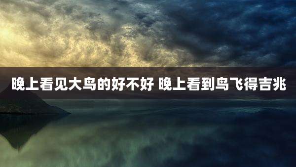 晚上看见大鸟的好不好 晚上看到鸟飞得吉兆