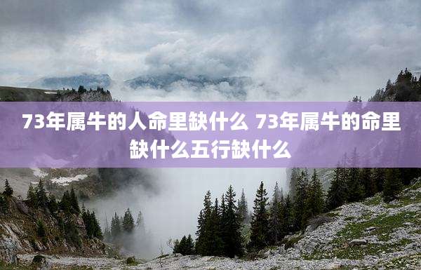 73年属牛的人命里缺什么 73年属牛的命里缺什么五行缺什么