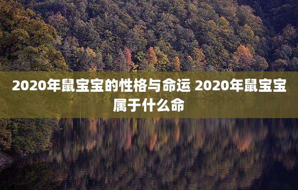 2020年鼠宝宝的性格与命运 2020年鼠宝宝属于什么命