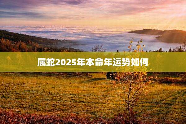 属蛇2025年本命年运势如何