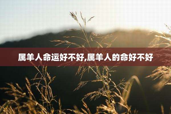 属羊人命运好不好,属羊人的命好不好