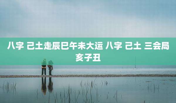 八字 己土走辰巳午未大运 八字 己土 三会局亥子丑