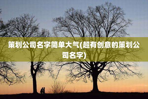 策划公司名字简单大气(超有创意的策划公司名字)