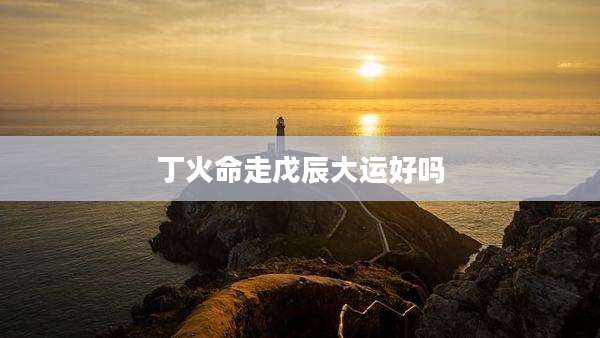 丁火命走戊辰大运好吗